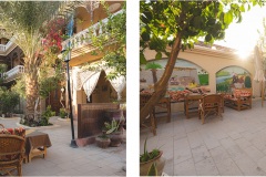 jardin-3-jardin-6